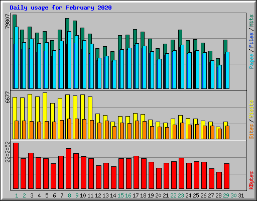 Daily usage for February 2020