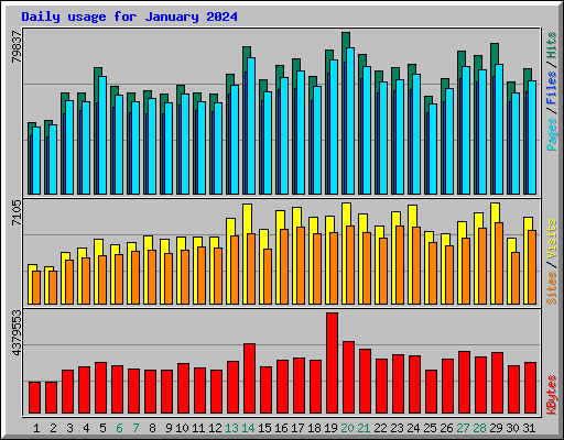 Daily usage for January 2024