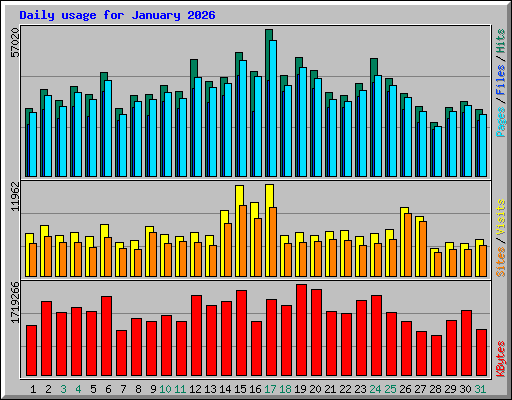 Daily usage for January 2026
