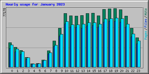 Hourly usage for January 2023