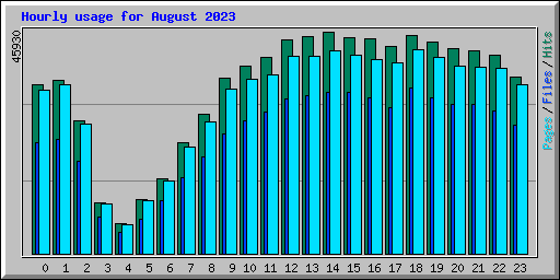 Hourly usage for August 2023