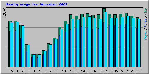 Hourly usage for November 2023