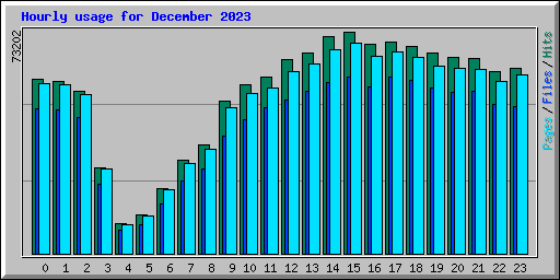 Hourly usage for December 2023