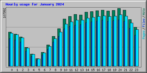 Hourly usage for January 2024