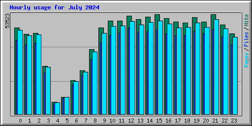 Hourly usage for July 2024
