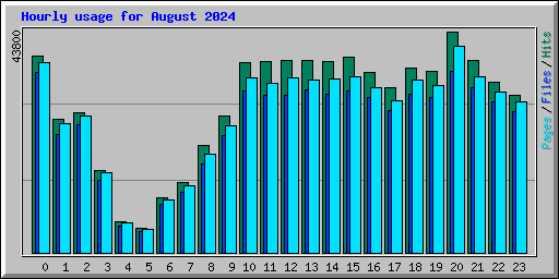 Hourly usage for August 2024