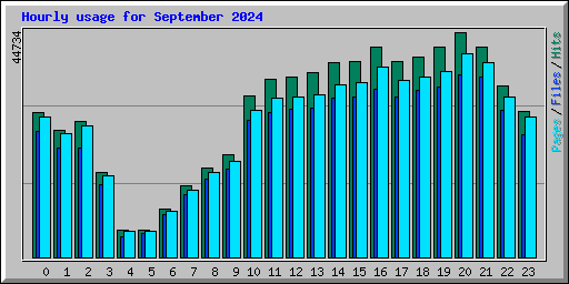 Hourly usage for September 2024
