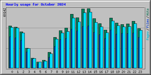 Hourly usage for October 2024