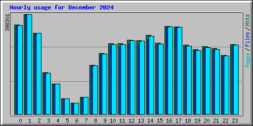 Hourly usage for December 2024