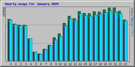 Hourly usage for January 2025