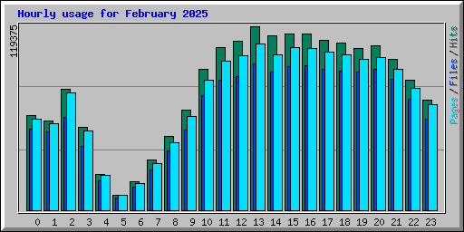 Hourly usage for February 2025