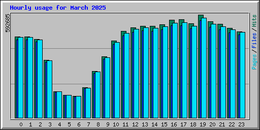 Hourly usage for March 2025