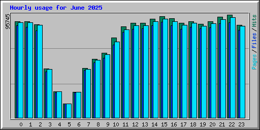 Hourly usage for June 2025