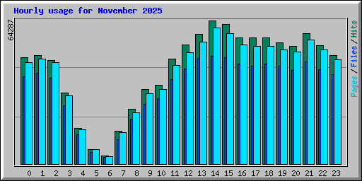 Hourly usage for November 2025