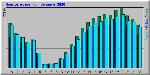 Hourly usage for January 2026