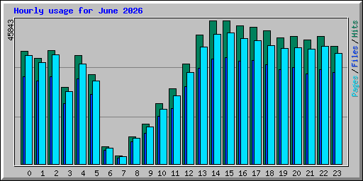 Hourly usage for June 2026