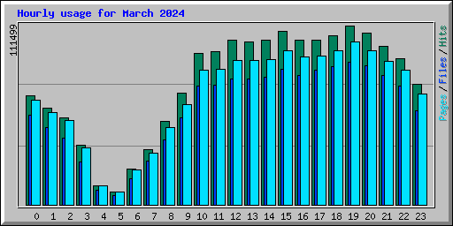 Hourly usage for March 2024