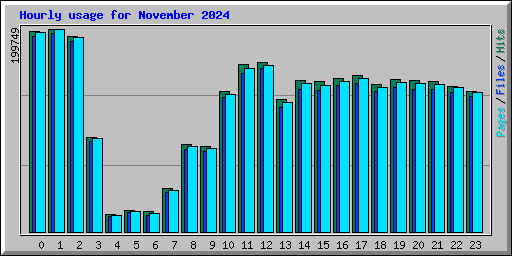 Hourly usage for November 2024