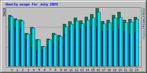 Hourly usage for July 2025