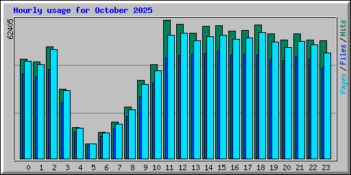 Hourly usage for October 2025