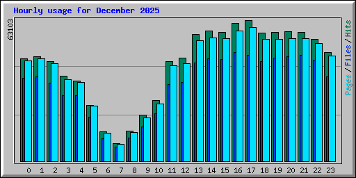 Hourly usage for December 2025