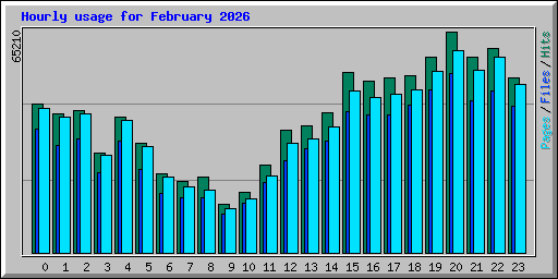 Hourly usage for February 2026